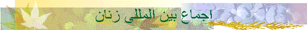 اجماع بین المللی زنان